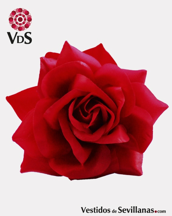 Flor doble THAL&Iacute;A T.M (pinza)_3col